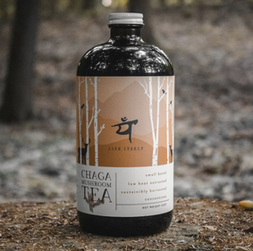 A dark glass bottle of chaga mushroom tea with a white, black, and earth-tone label, in front of a forest background